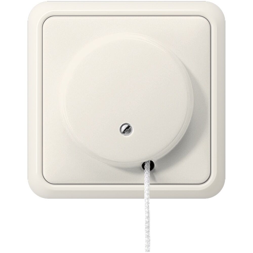 Jung Zug Wechselschalter 5506 ZU