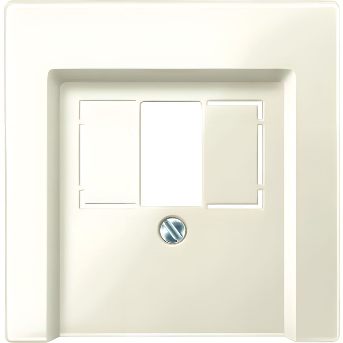 Merten Zentralplatte 296044