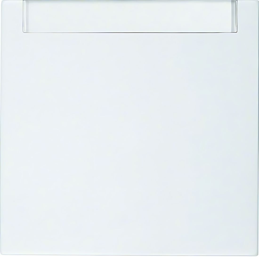 Berker Wippe 16268989