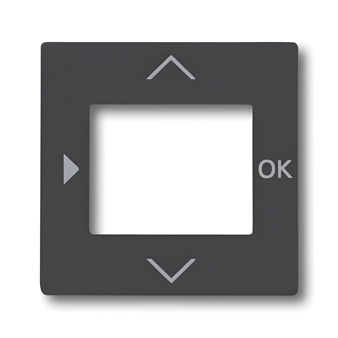 Busch-Jaeger Zentralscheibe 6435-81 Nr. 2CKA006430A0303