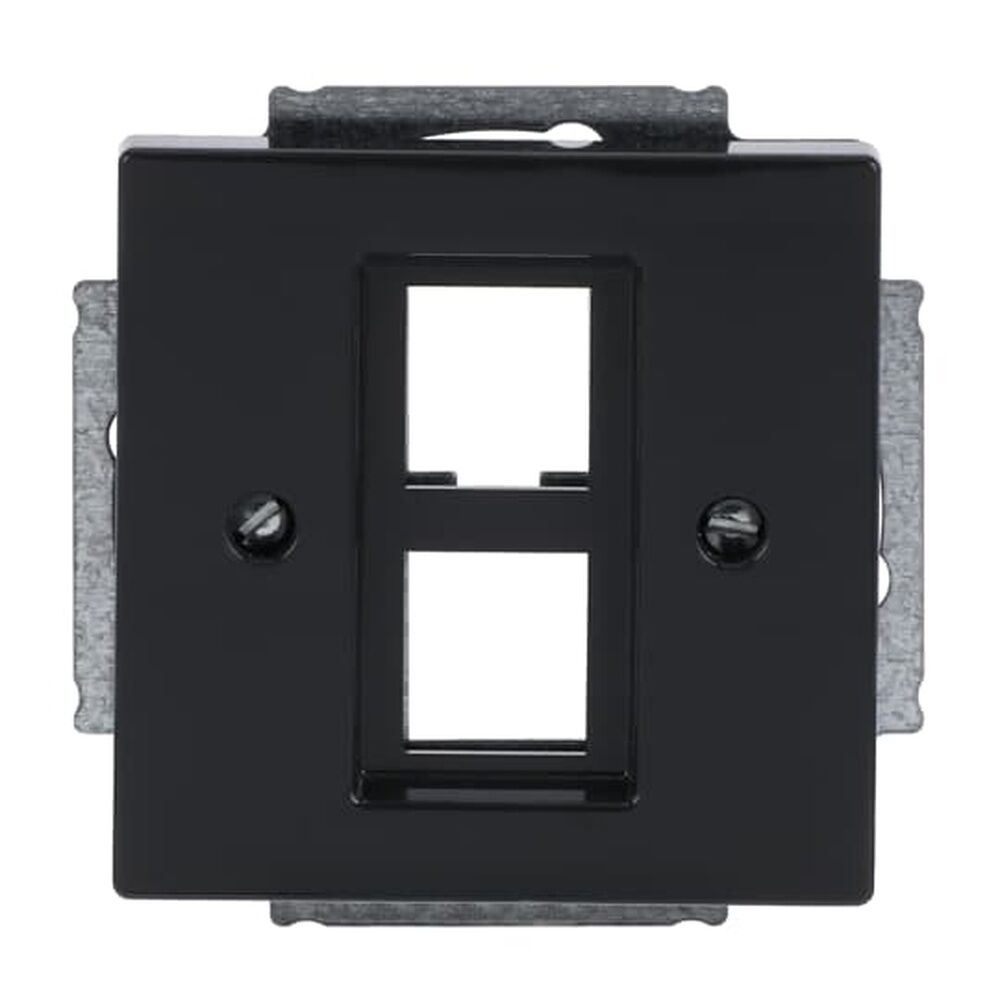 Busch-Jaeger Zentralscheibe 2561-02-81 Nr. 2CKA001753A0317