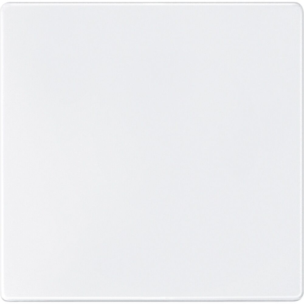 Merten Sensorfläche 573819