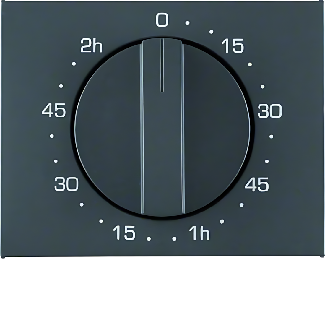 Berker Zentralstück 16357106