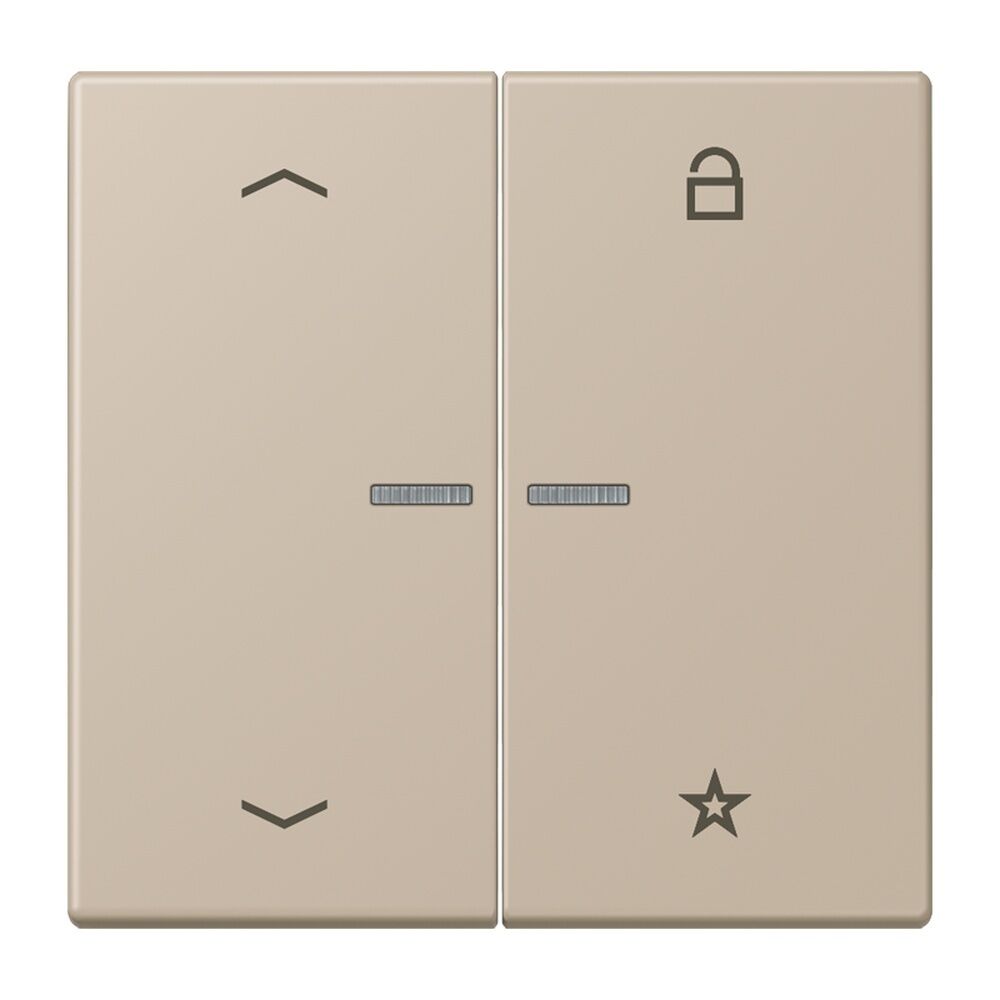 Jung Taster FMLC1701P243