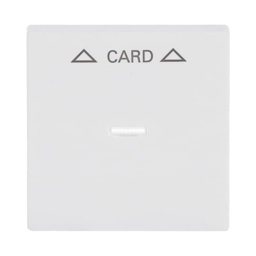 Busch-Jaeger Zentralscheibe 1792-884 Nr. 2CKA001710A3928