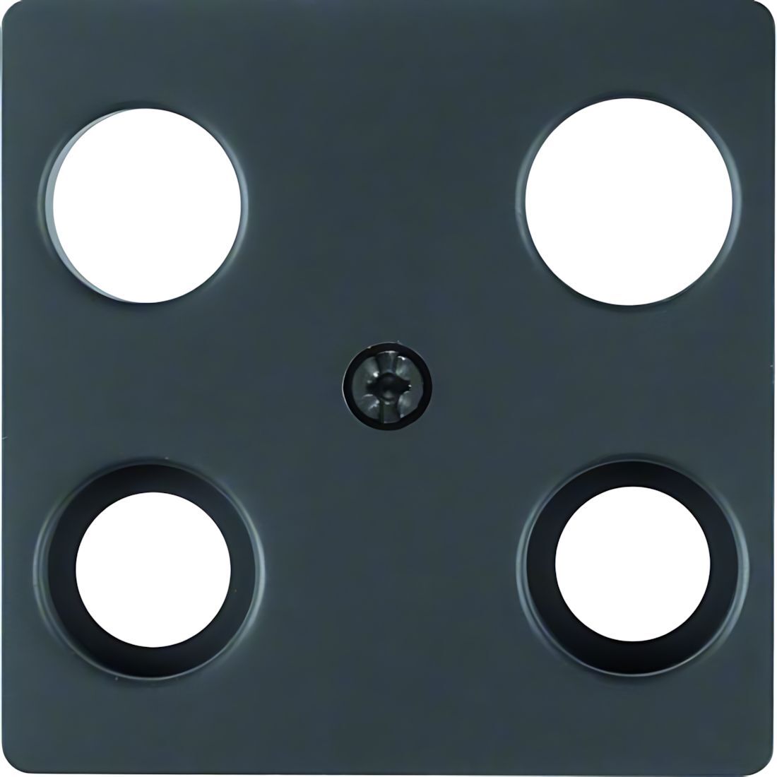 Berker Zentralplatte 14831606 