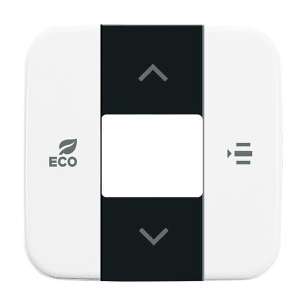 Busch-Jaeger Zentralscheibe 6236-214 Nr. 2CKA006220A0252