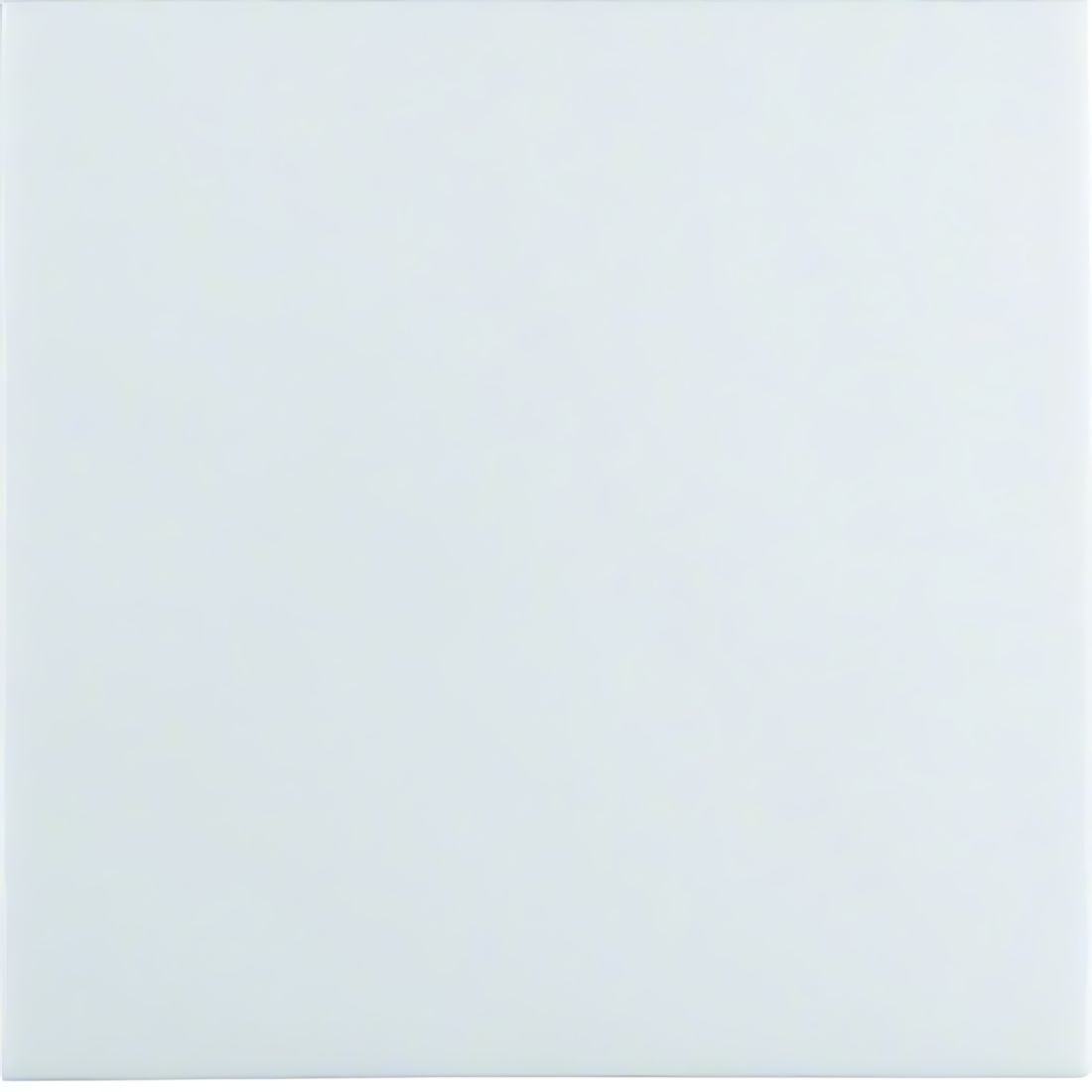 Berker Wippe 16208989