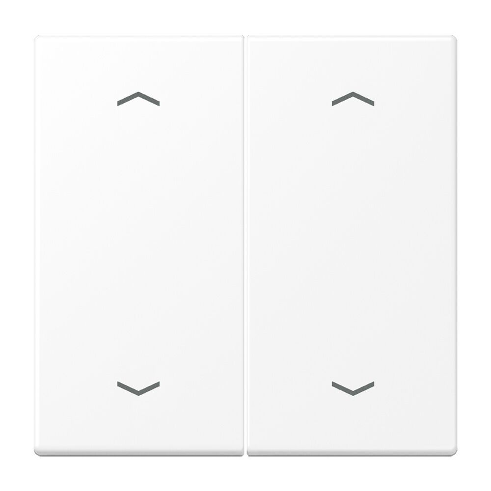 Jung Wippe 2fach LS995MPWWM