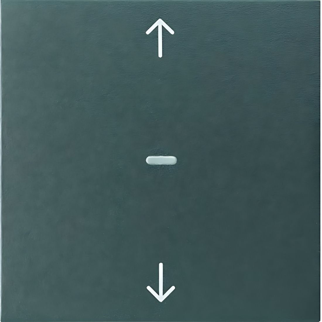 Berker Tastsensor Abdeckung 80961285