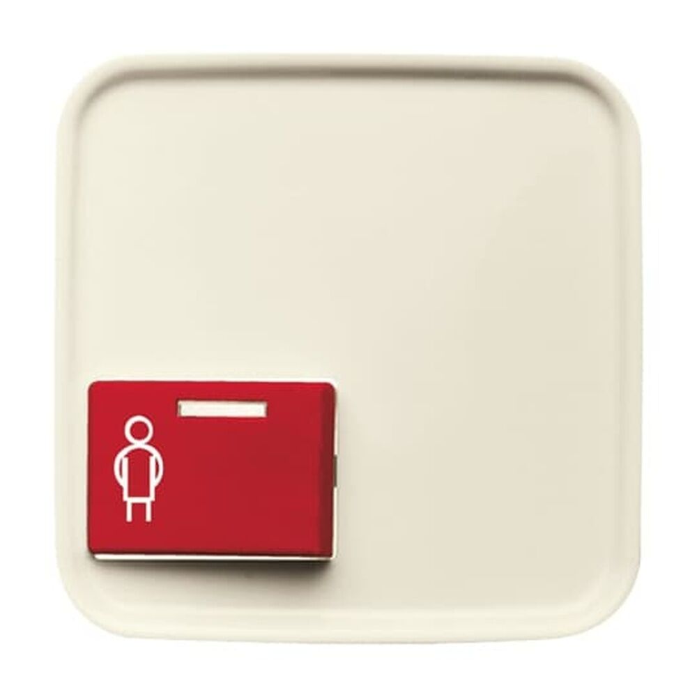 Busch-Jaeger Zentralscheibe 2548-022 A-212-101 Nr. 2CKA001724A4408 