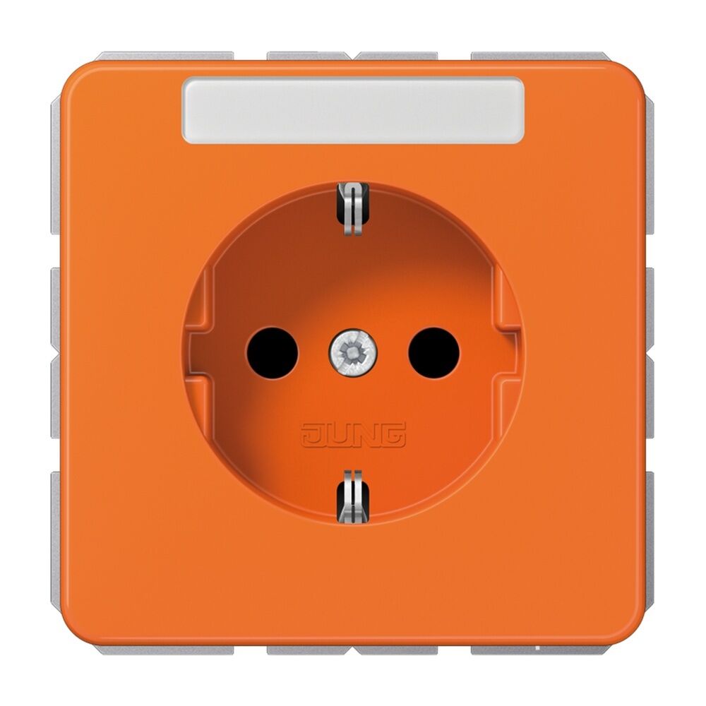 Jung Schutzkontakt Steckdose CD 1520 BFNA O