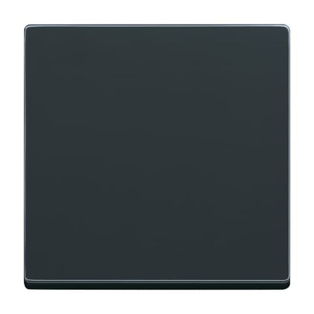 Busch-Jaeger Wippe 1fach FoH 6735 BT-81 Nr. 2CKA006730A0142 