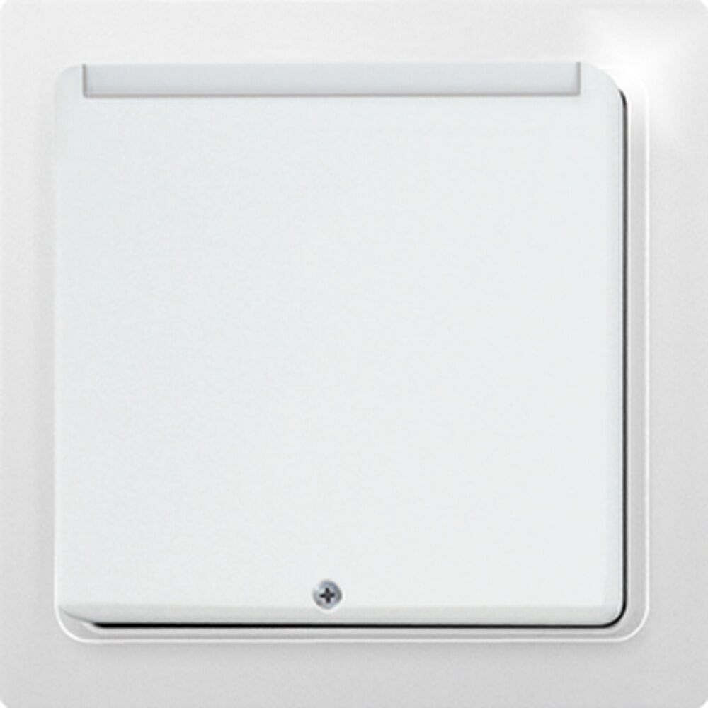 ELTAKO Funksensor 30065545 Typ FKF65-wg