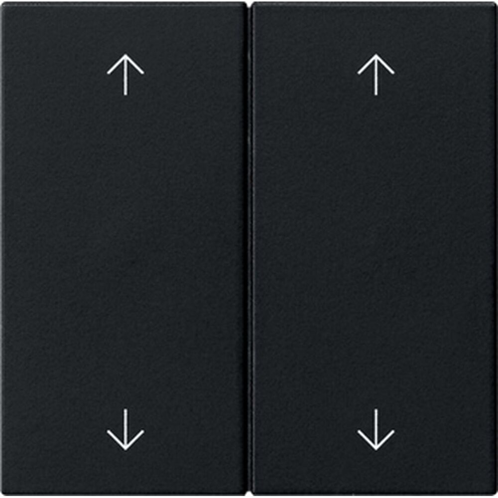 Gira Wippe 2fach 5387005