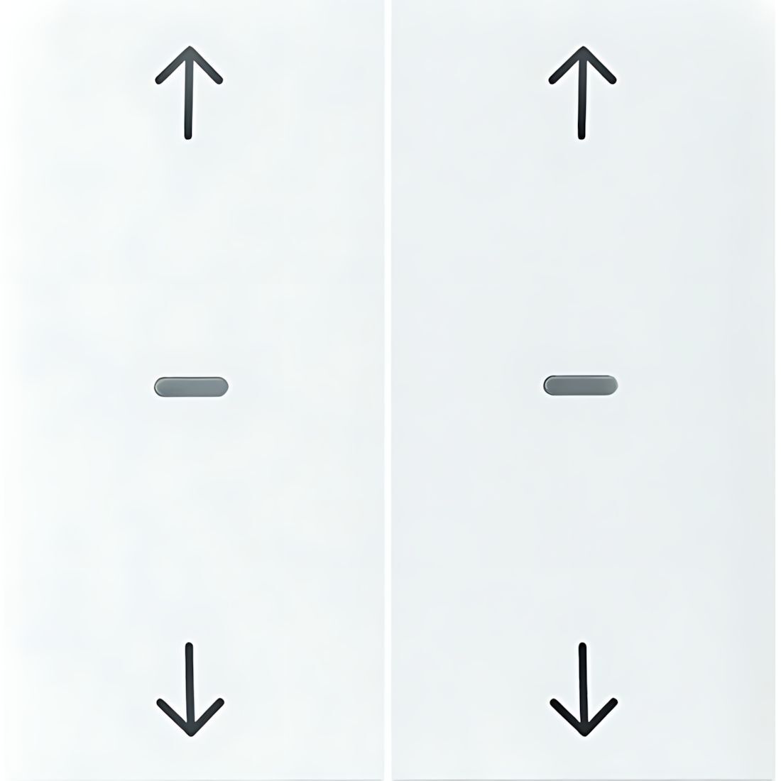 Berker Tastsensor Abdeckung 80961389