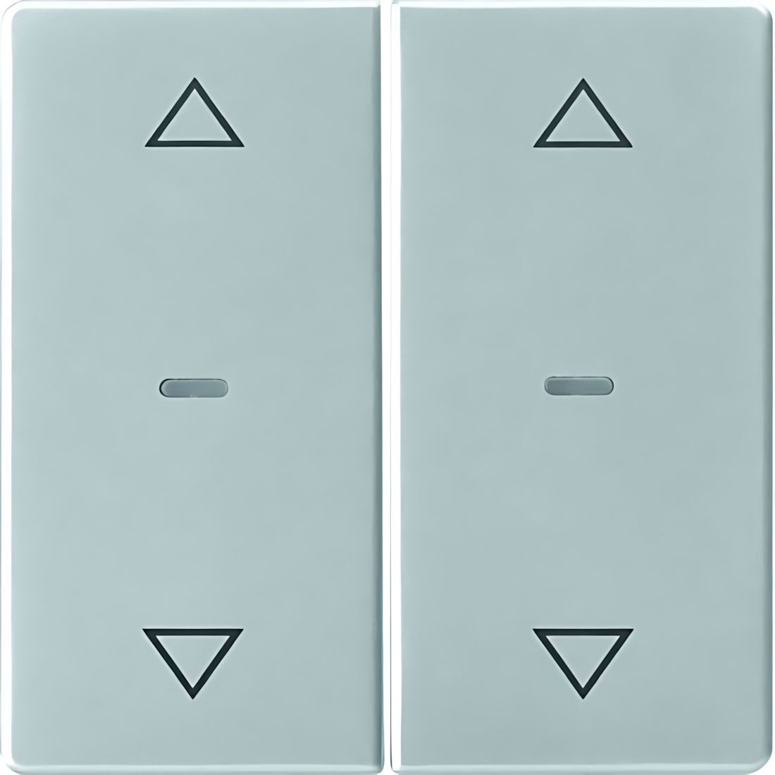 Berker Tastsensor Abdeckung 80961321