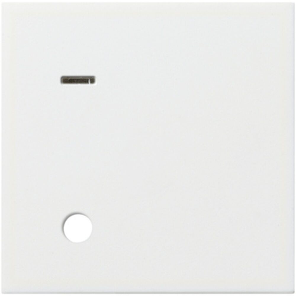 Gira Abdeckung Ackermann 023303