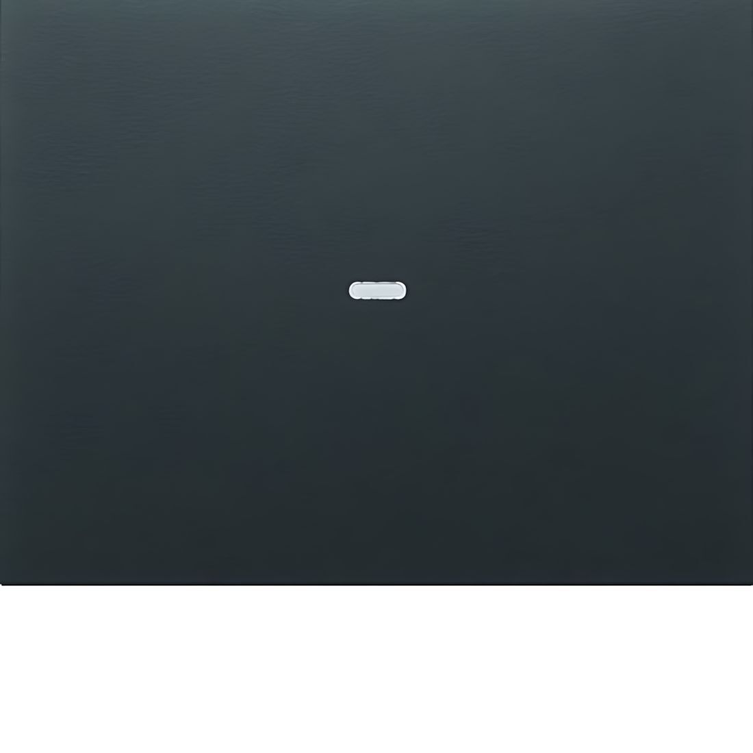 Berker Abdeckung 80960275