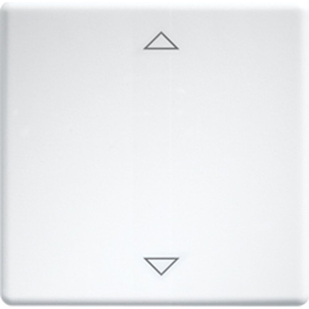 ELTAKO Wippe 30000981 Typ W-FT55-wg+2P