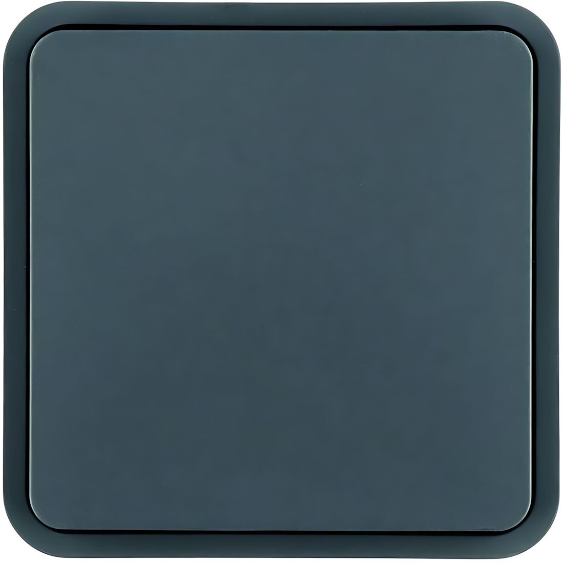 Berker Wippe 6130763545