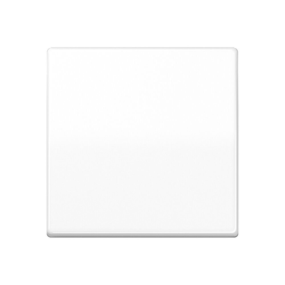 Jung Wippe AS 591 BFS WW