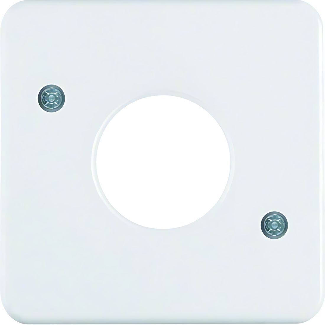 Berker Zentralstück 153009 