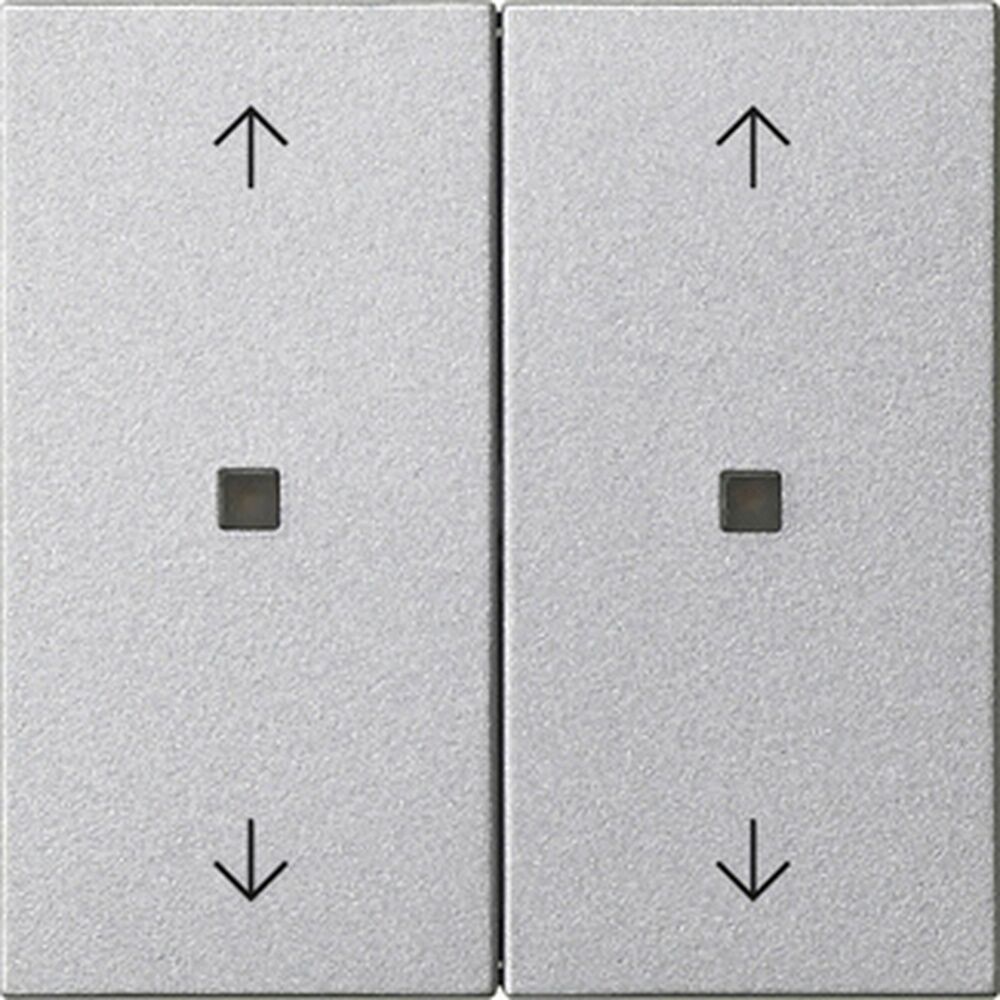 Gira Wippe 2fach 538626