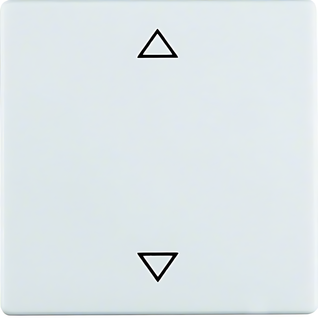 Berker Wippe 16206079 