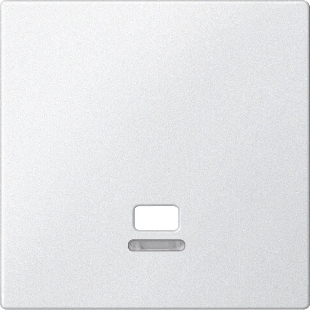 Merten Zentralplatte MEG3380-0419