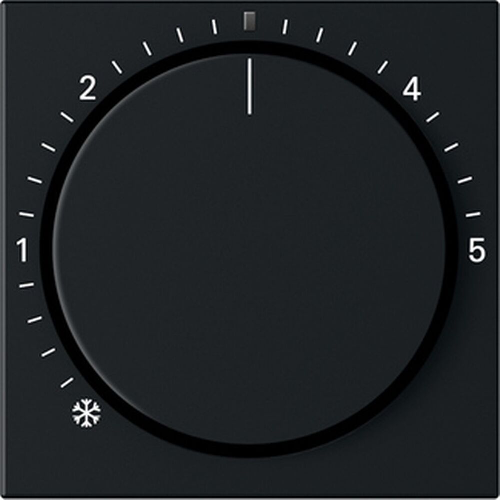 Gira Abdeckung Raumtemperaturregler 2702005