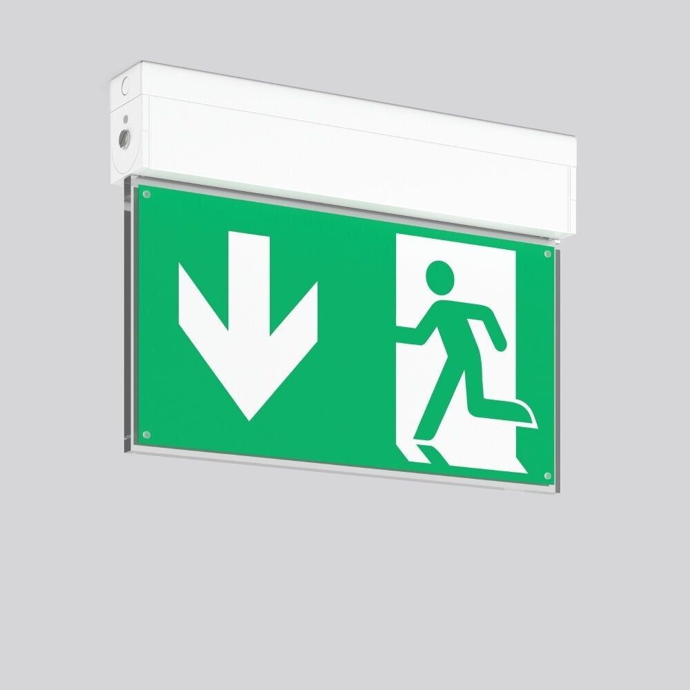 RZB Leuchten Notleuchte Wand u. Deckenleuchte 672218.002.1.07