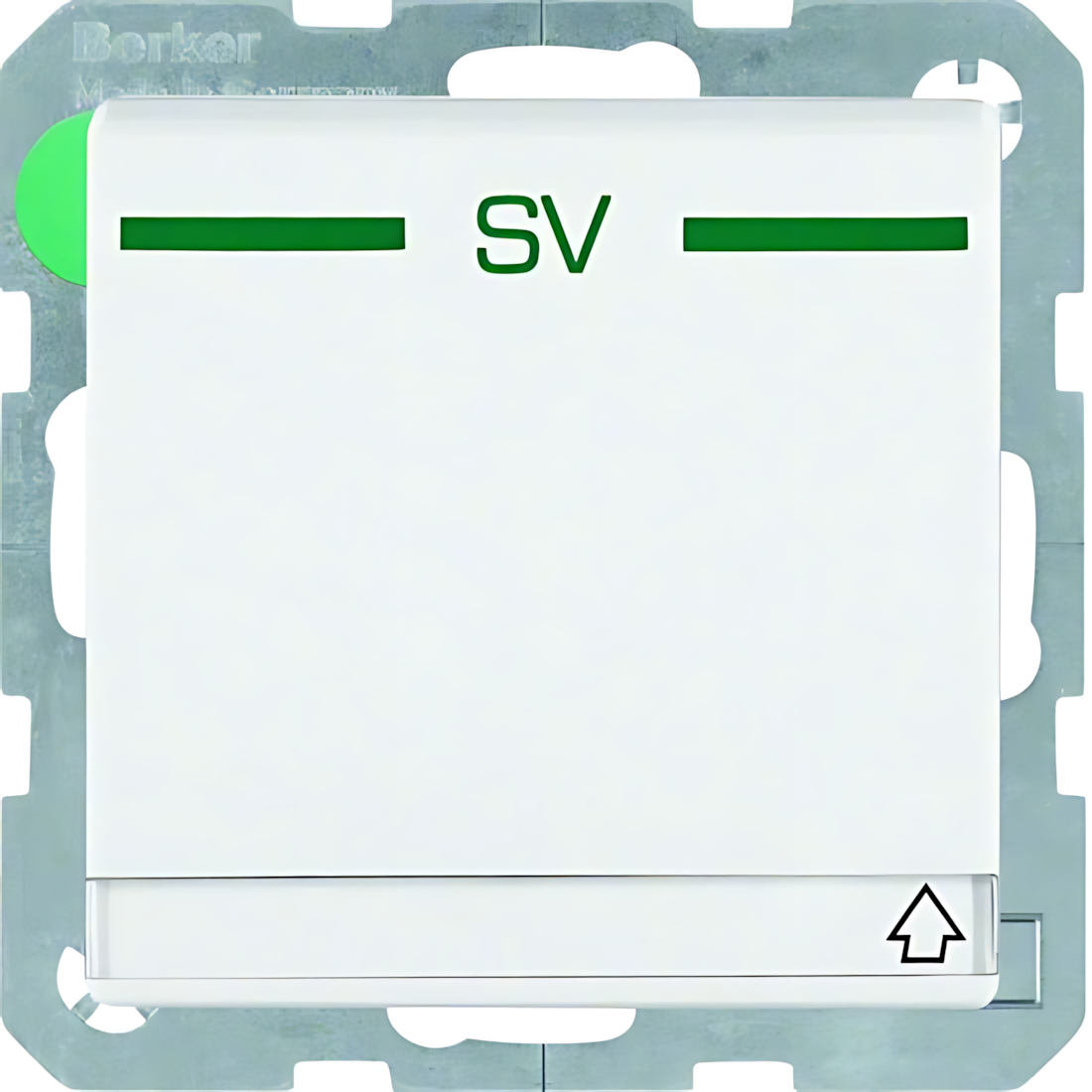 Berker Steckdose 47526039 