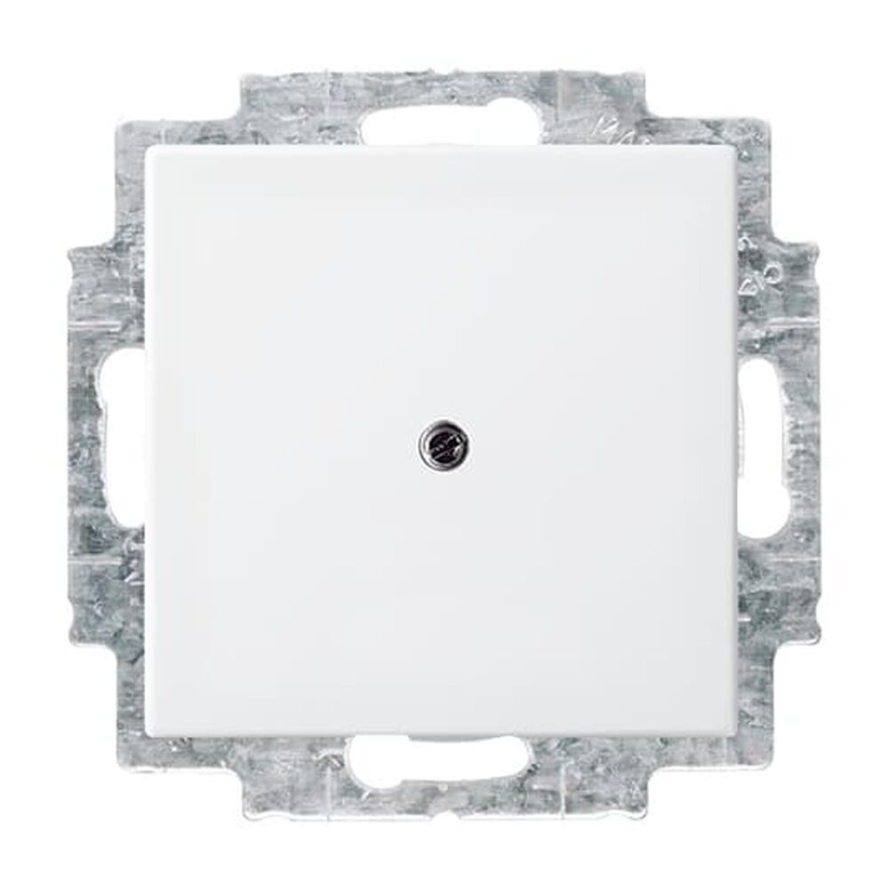 Busch-Jaeger Blindzentralscheibe 2538-914 Nr. 2CKA001715A0319