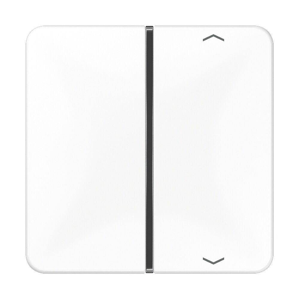 Jung Taste 1fach CD 401 TSAP WW