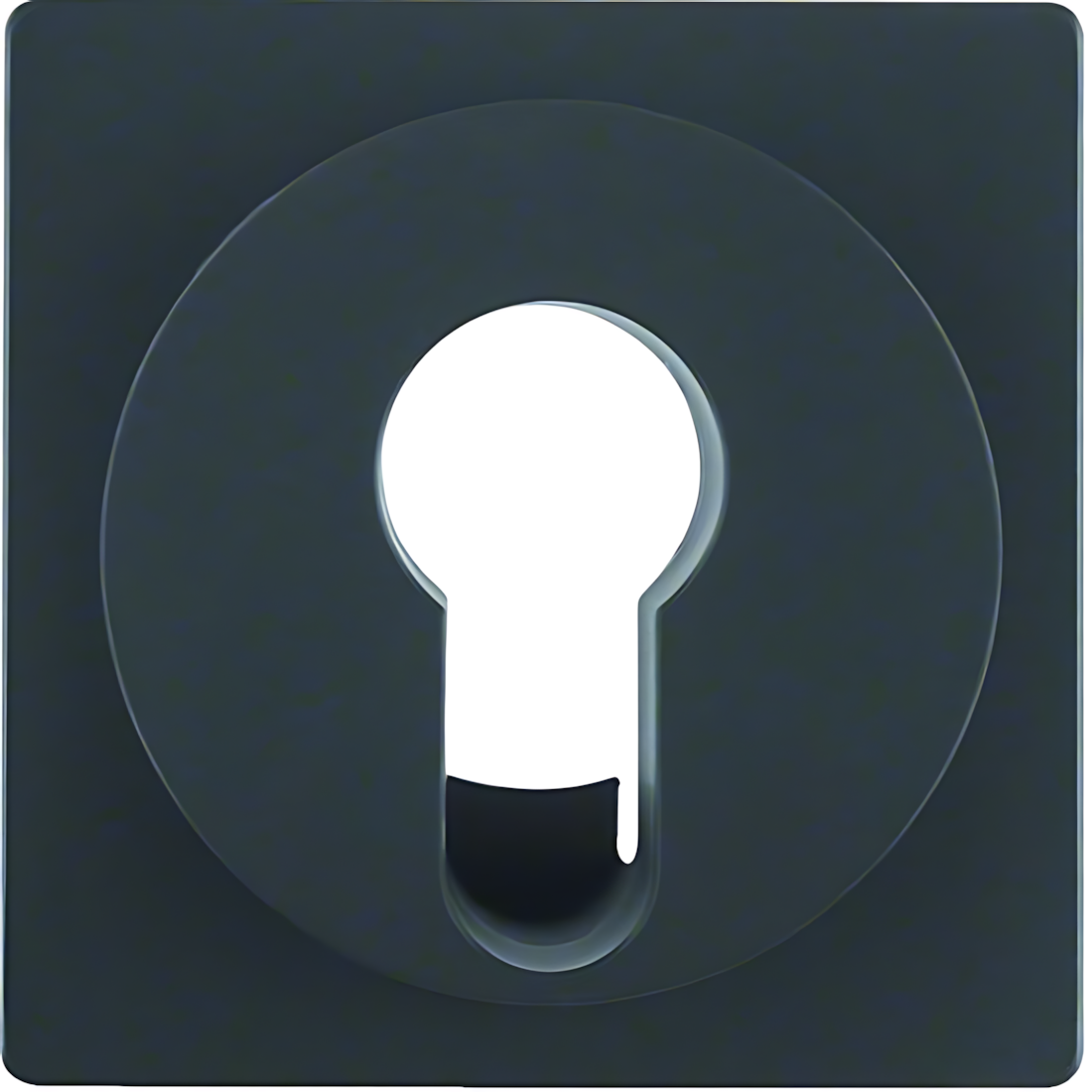 Berker Zentralstück 15076086