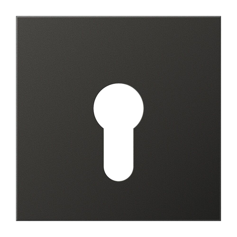 Jung Abdeckung Schlüsselschalter AL 2925 AN