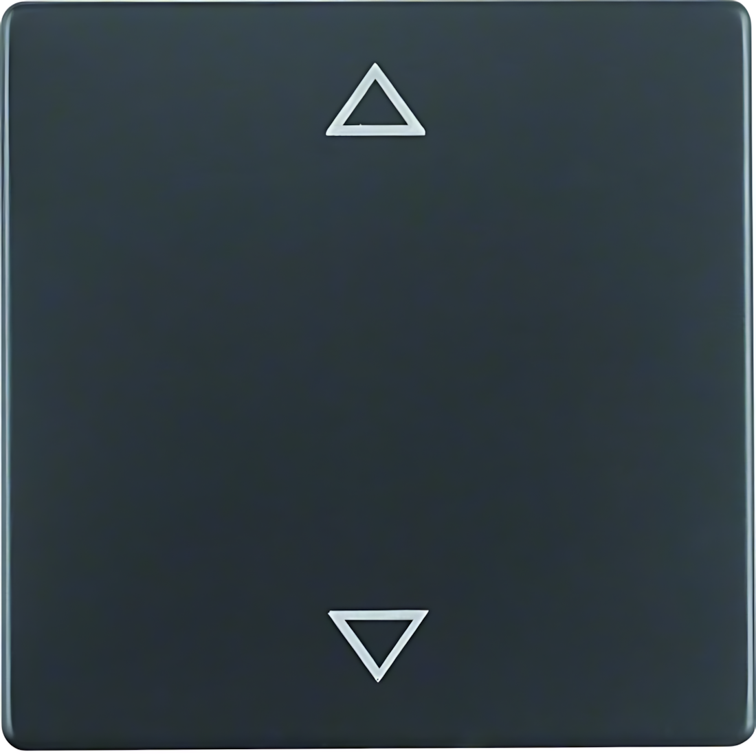 Berker Wippe 16206076