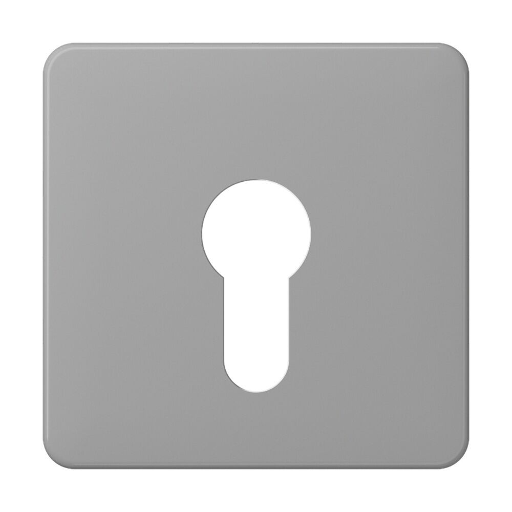 Jung Abdeckung Schlüsselschalter CD 525 GR