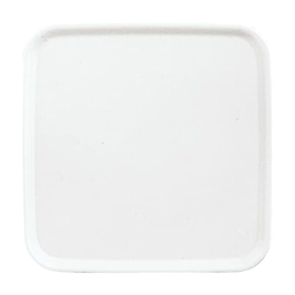 Busch-Jaeger Blindzentralscheibe 2548-214-50 A Nr. 2CKA001753A2389