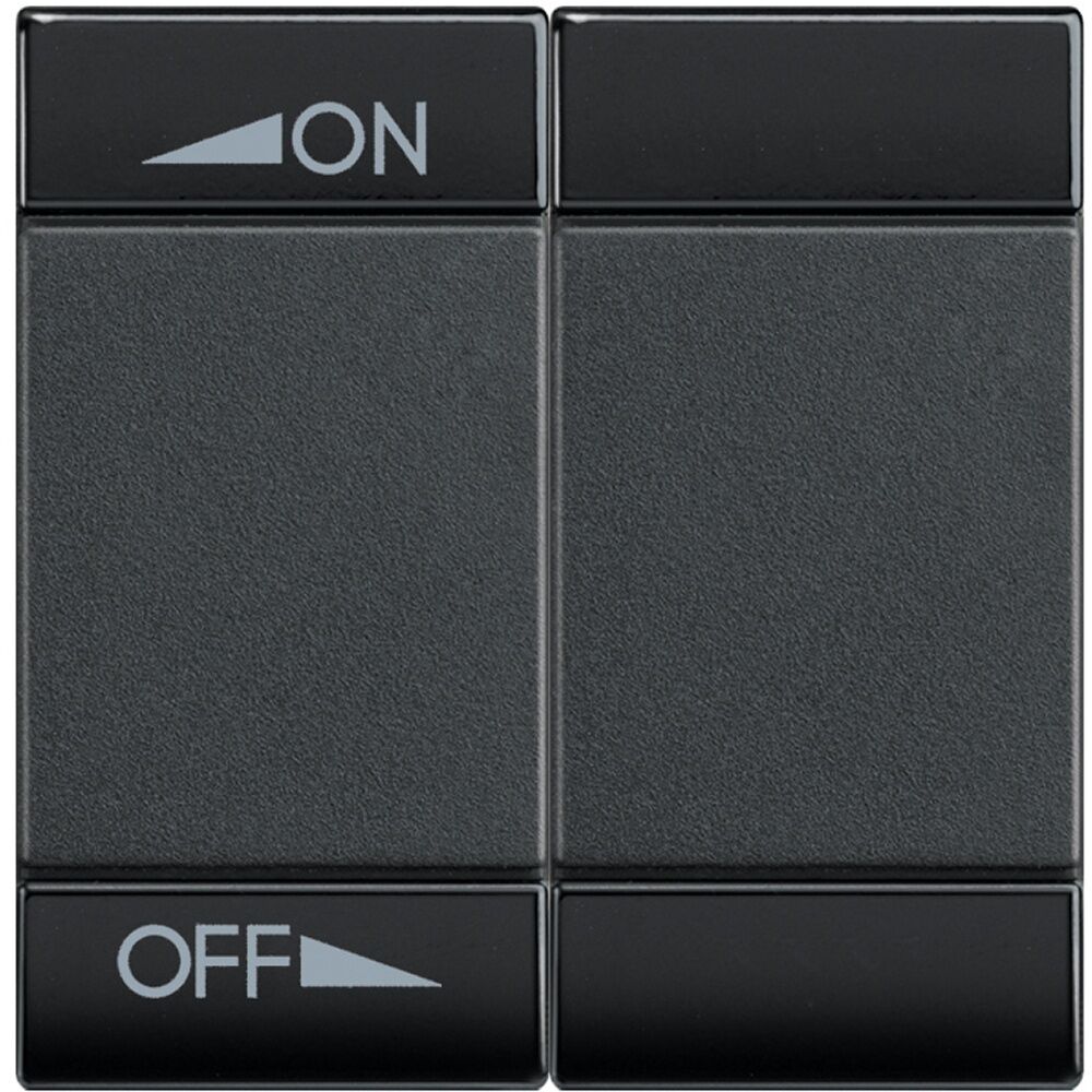 Bticino Wippe L4911M2AIN