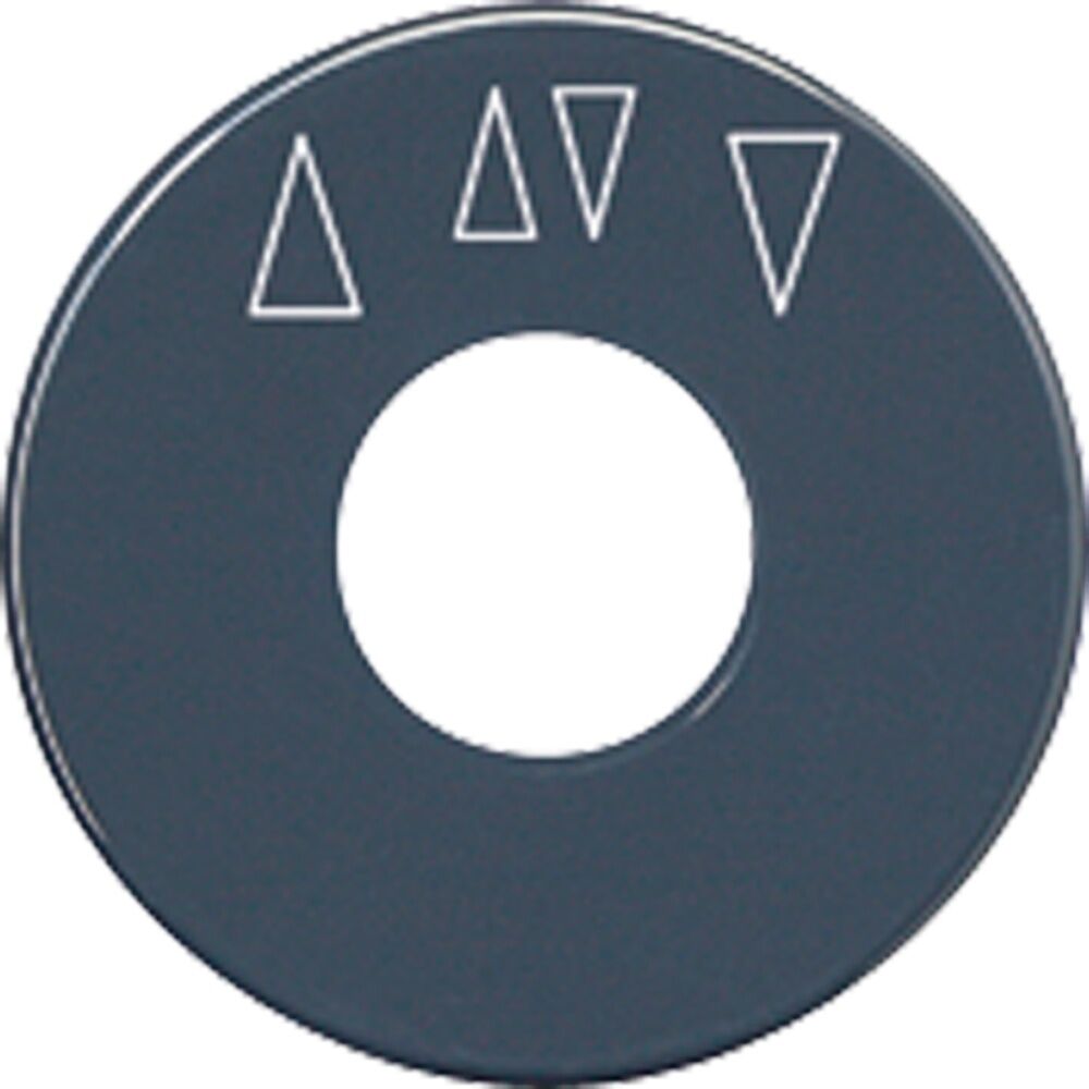 Jung Skalenscheibe SKS 1234.10