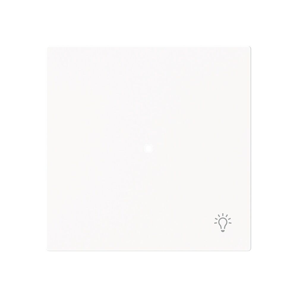 Busch-Jaeger Wippe 6231-10-44M Typ 2CKA006220A0929