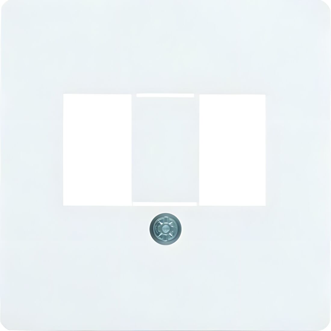 Berker Zentralplatte 145809