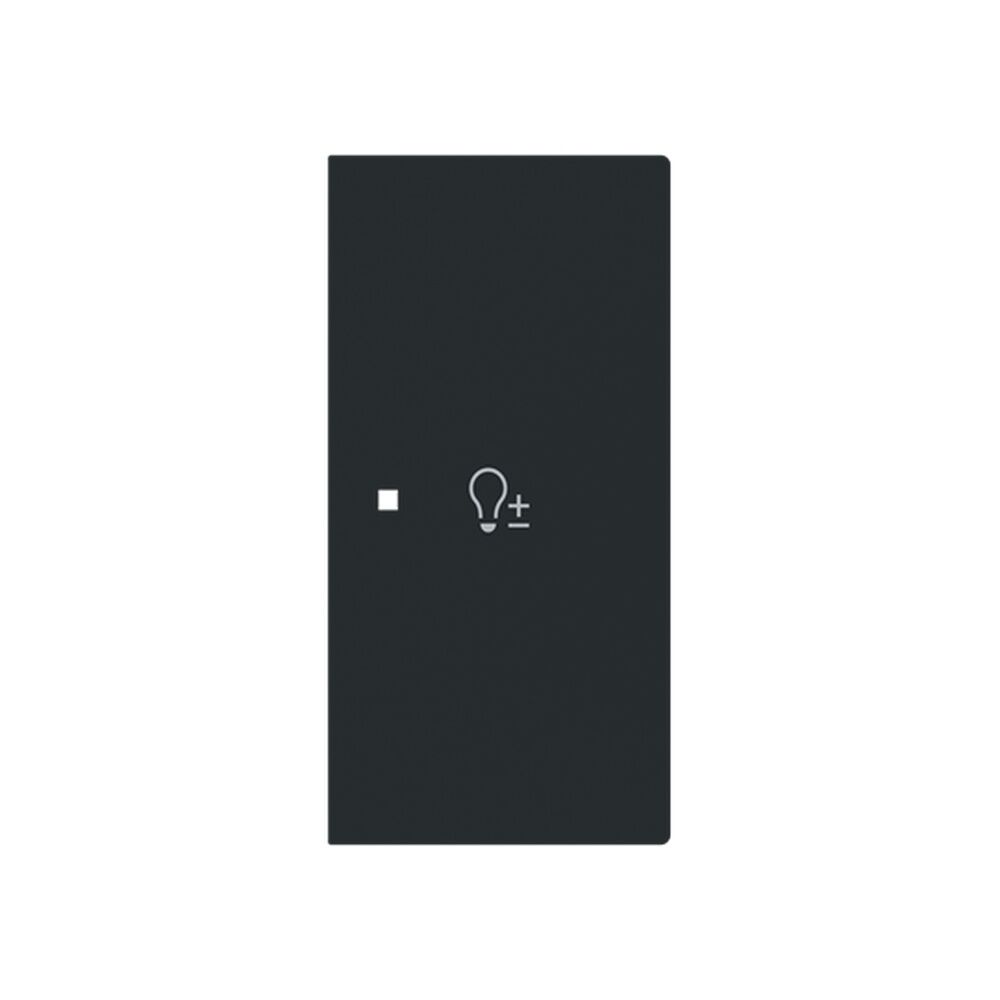 Busch-Jaeger Wippe 6234-22-45M Typ 2CKA006220A0963