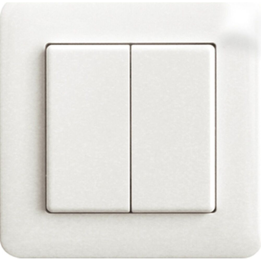 ELTAKO Funktaster 30000244 Typ FT55ES-wg