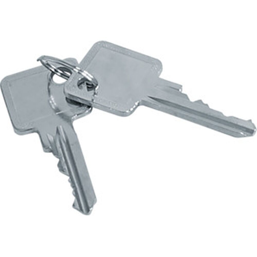 Hager Satz mit 2 Schlüsseln ZAY50995