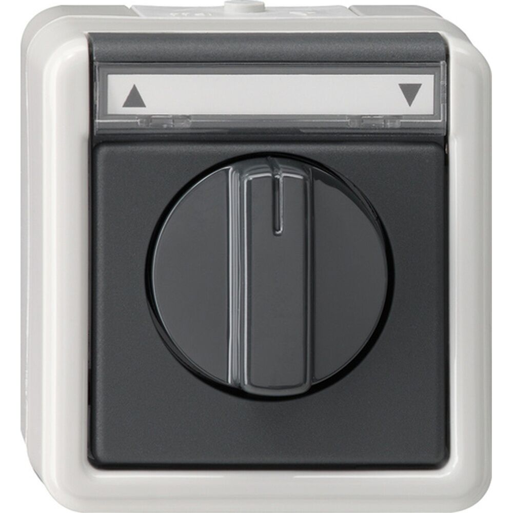 Gira SchalterTaster Jalousie 015430 