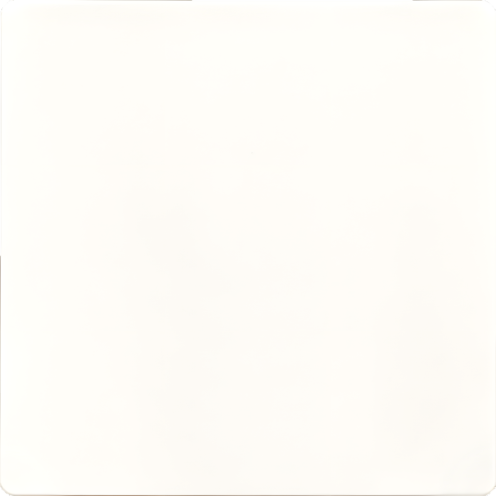 ELTAKO Wippe Funktaster 30055973 Typ W-F2T55E/10-pm