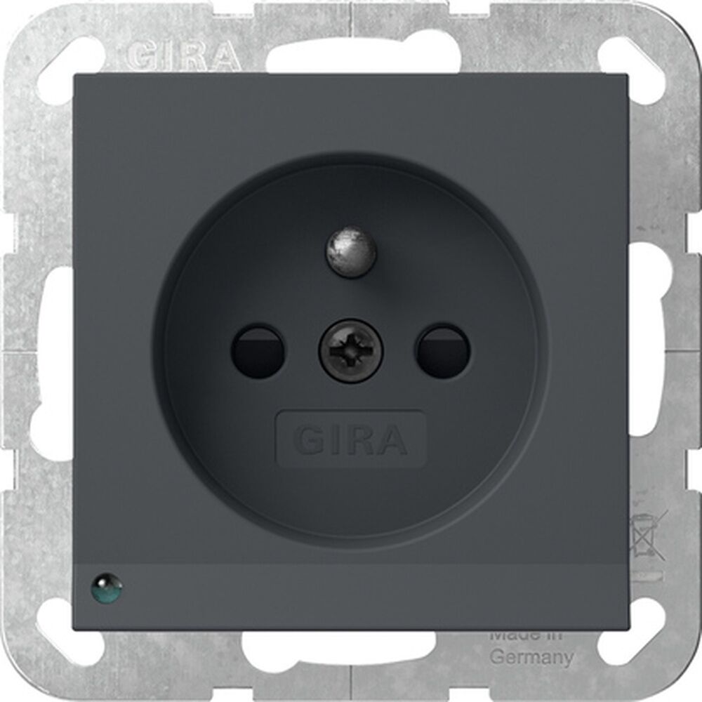 Gira Steckdose mit Erdungsstift 448928